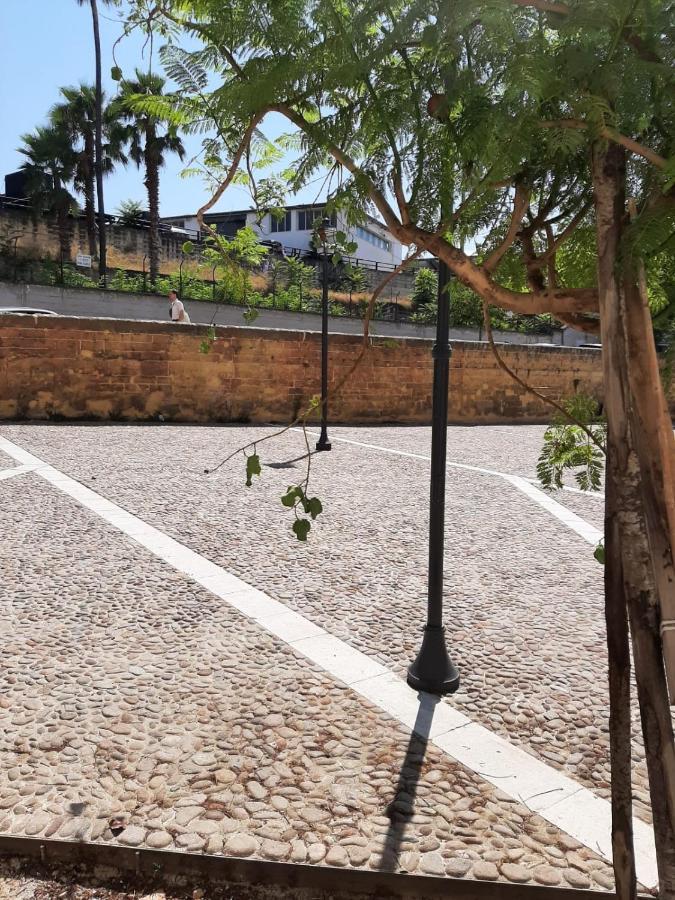 A Due Passi Dalla Cattedrale Leilighet Palermo Eksteriør bilde